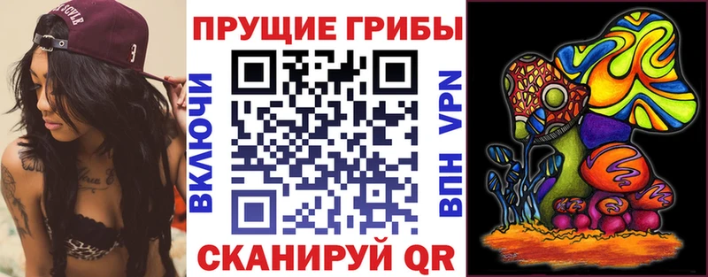 Купить где  Воскресенск  Галлюциногенные грибы Cubensis 
